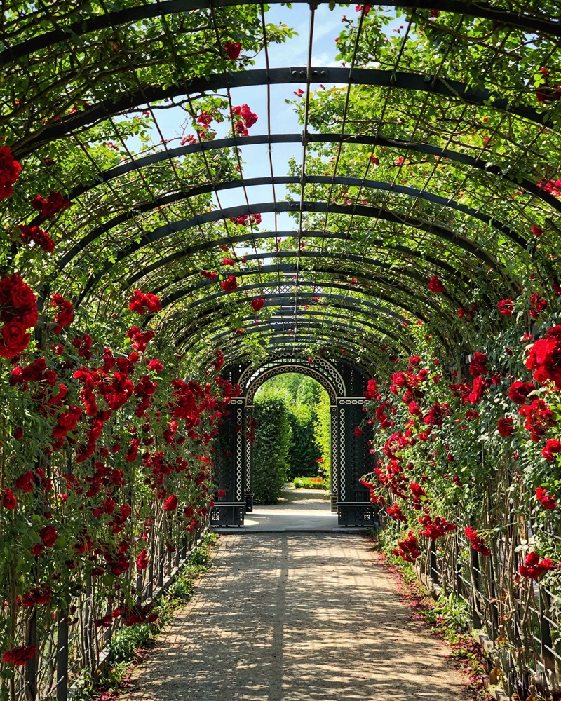 Καλλωπισμός Χώρων για εκδηλώσεις
