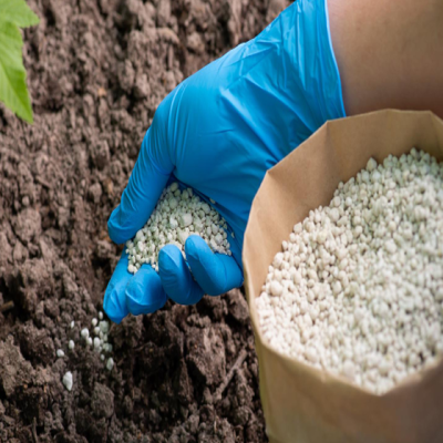 Lipasmata Gia Elies Kai Ampeli Irakeio Krititis Grisa Gi